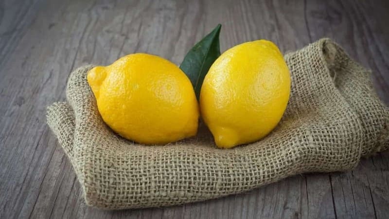 قیمت خرید لیمو سنگی دزفول + فروش ویژه